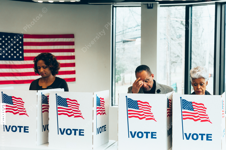Minority voting during US elections