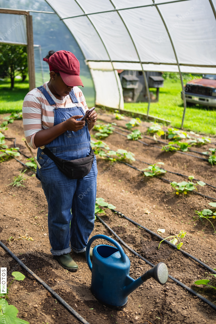 Female farmer using smart phone in greenhouse - Diversity Photos