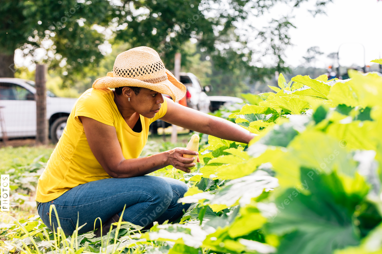 Farmer inspecting crops on rural farm