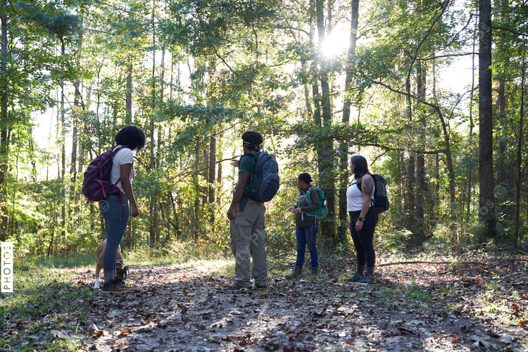 Friends hiking on trail among trees in woods
