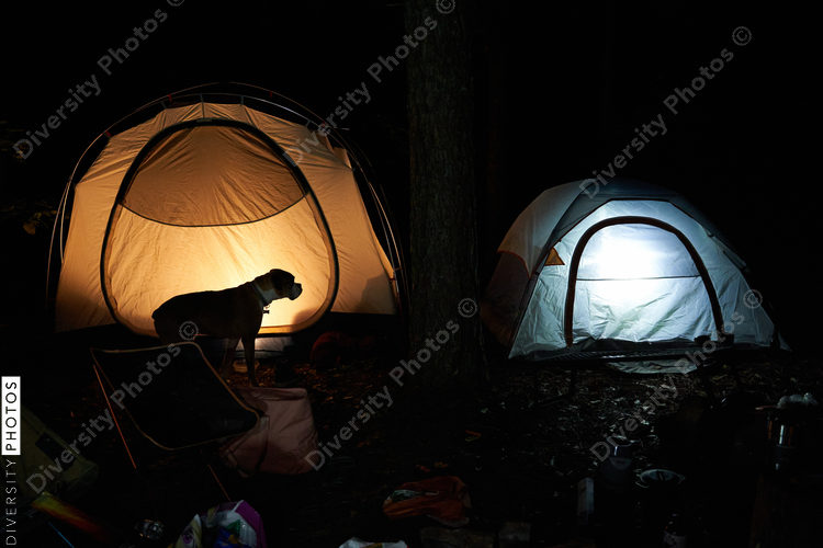 Illuminated camping tent in woods at night