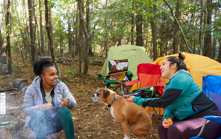 Friends enjoying weekend getaway, relaxing at campsite in woods