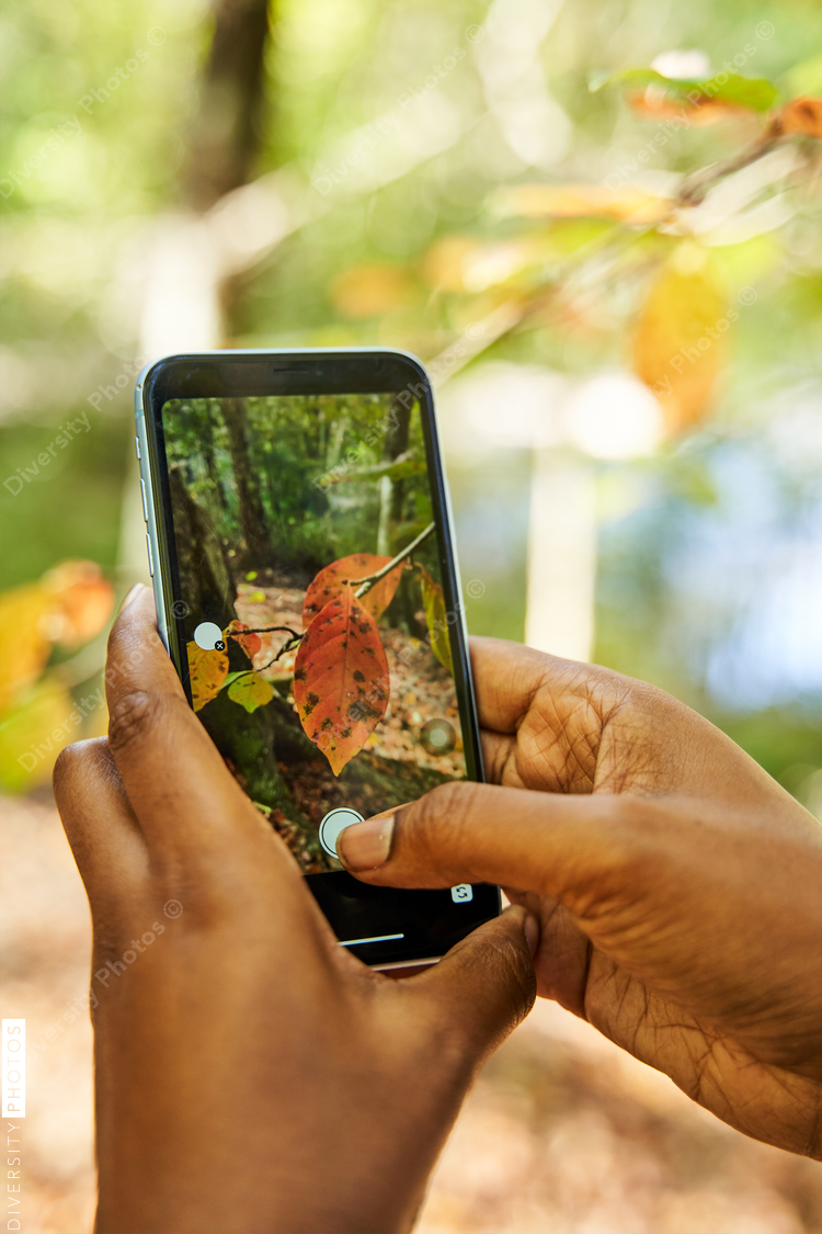 Black woman takes picture of leaves in woods for research