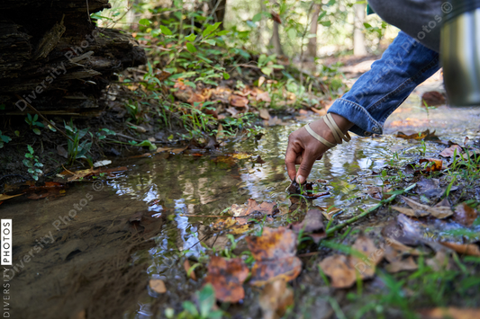 Black female botanist examines plants on trail