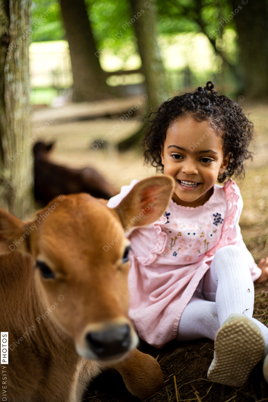 Young toddler petting calf at zoo