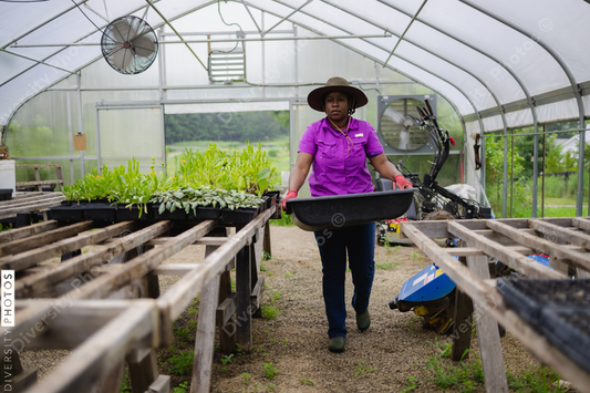 Black Female farmer carrying tray in greenhouse