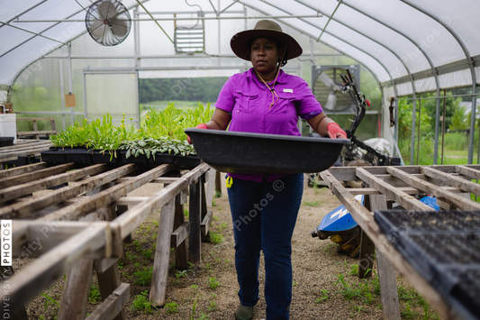 Black Female farmer carrying tray in greenhouse