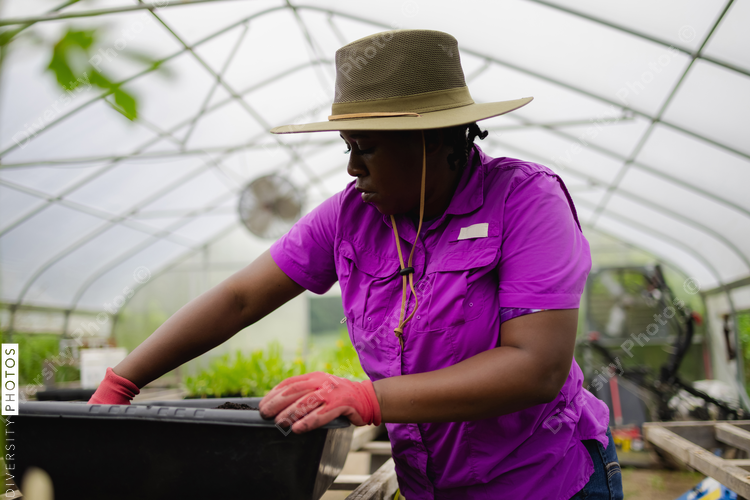 Female farmer working in greenhouse