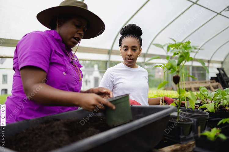 Black Female farmers working in greenhouse