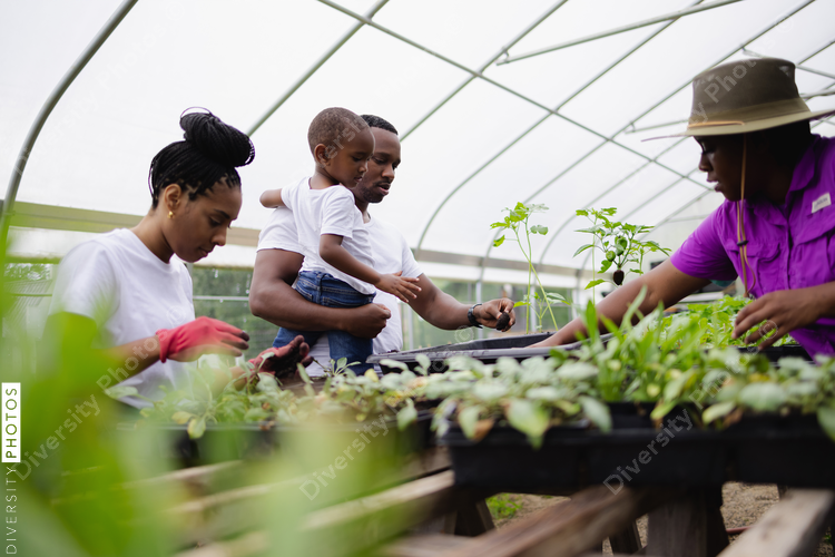 Family planting seedlings in greenhouse