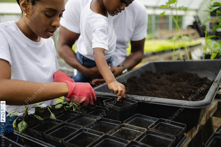 Parents with son planting seedlings in greenhouse