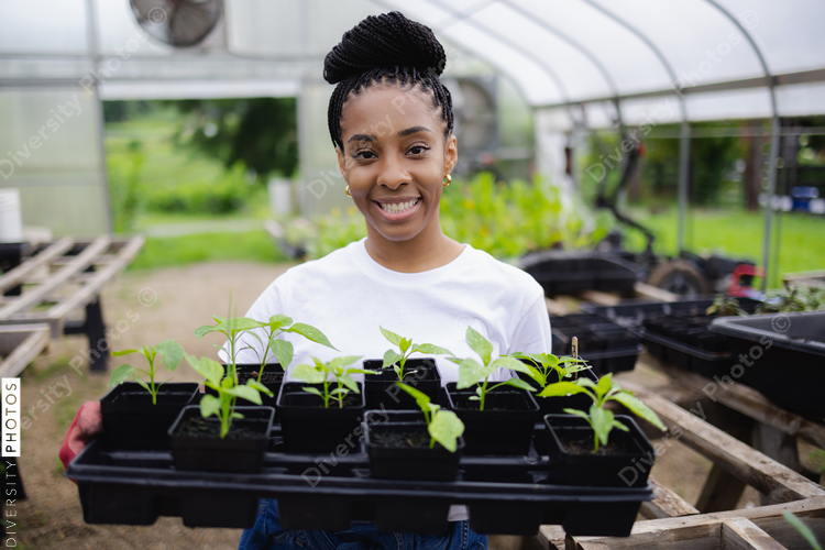 Portrait of Black smiling female farmer holding tray with seedlings in greenhouse
