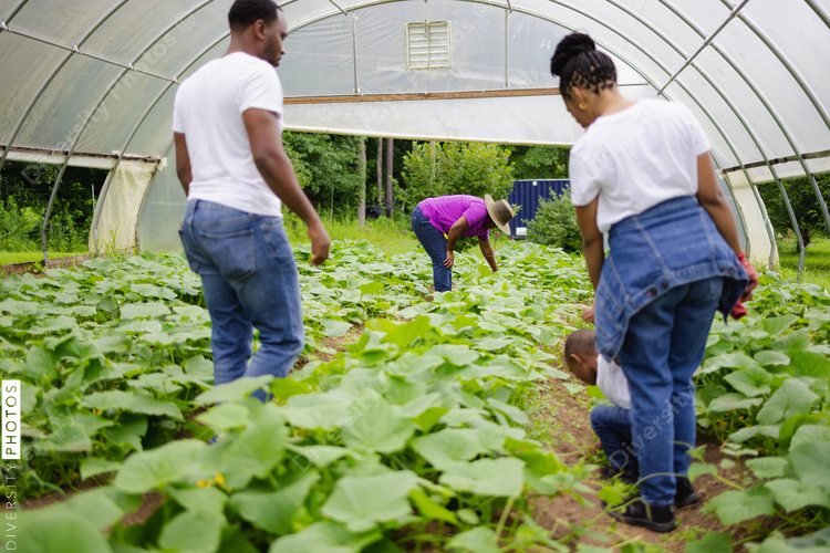 Family inspecting plants in greenhouse