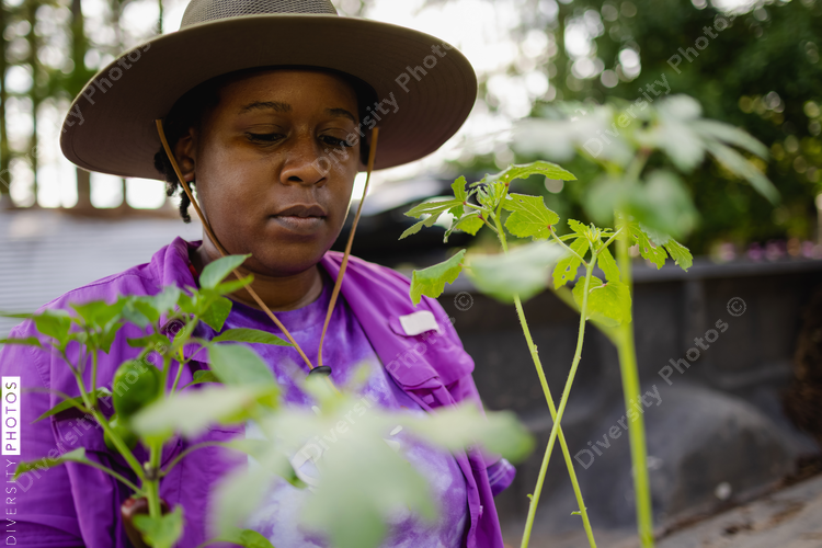 Female farmer in hat looking at seedlings