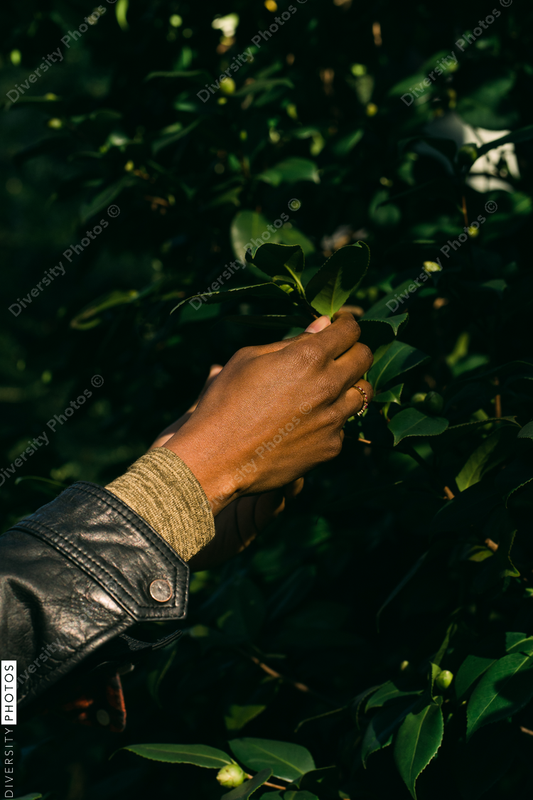 Black hands exploring nature and plants outdoors