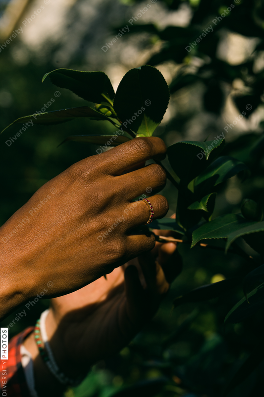 Black hands exploring nature and plants outdoors