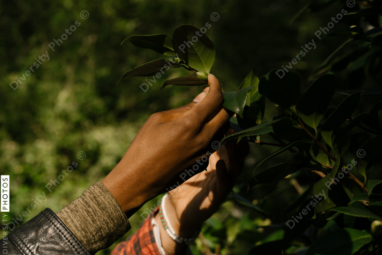 Black hands exploring nature and plants outdoors