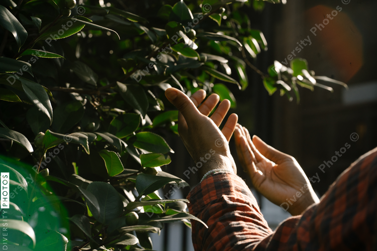 Black hands exploring nature and plants outdoors