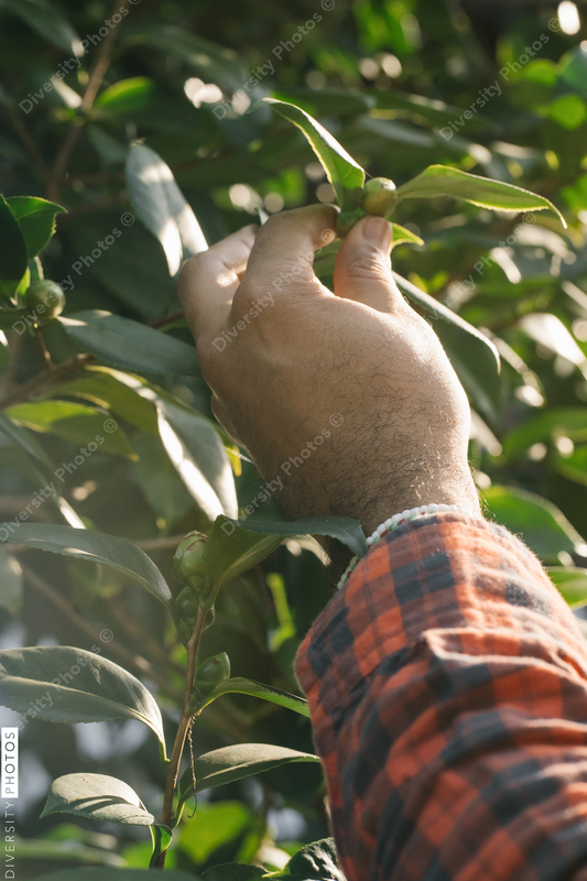 Black hands exploring nature and plants outdoors