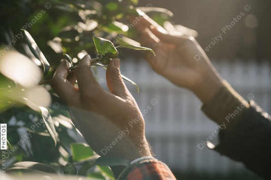 Black hands exploring nature and plants outdoors