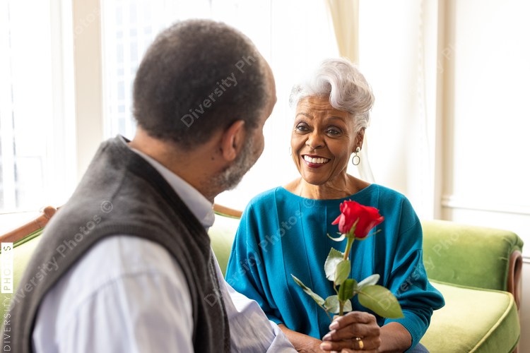 Senior husband gives wife rose flower, celebrating their love